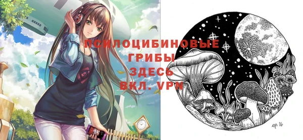 хмурый Балахна