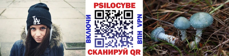 площадка формула  Новосиль  Псилоцибиновые грибы прущие грибы 